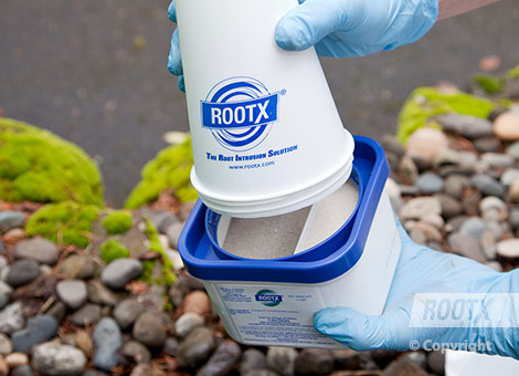 rootx funnel jar how to step 1